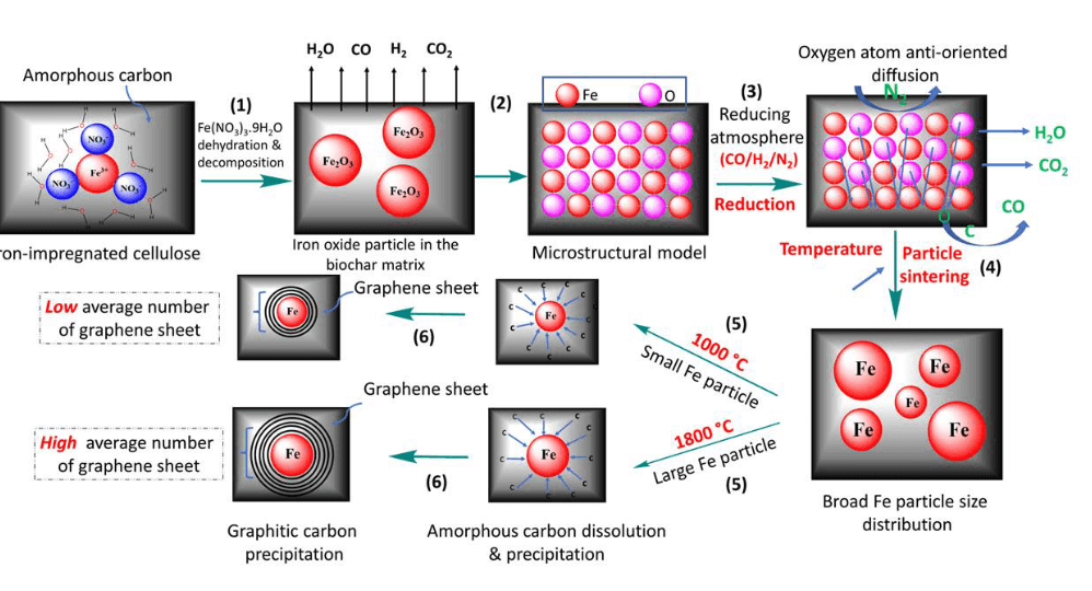 ChemSusChem：利用催化剂铁的磁性研究绿色石墨烯的合成与生长