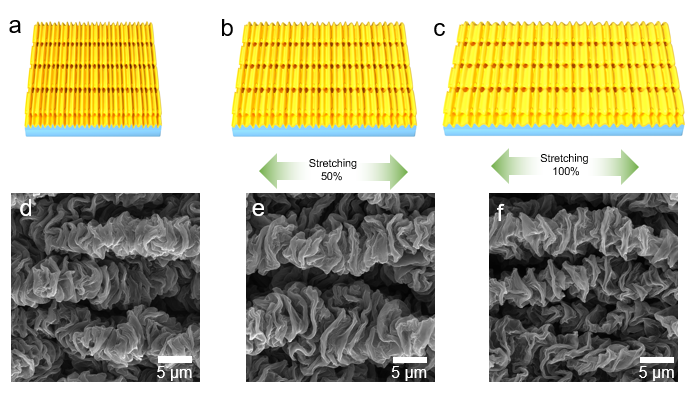 国防科技大学楚增勇教授团队：基于可编程、各向异性和图案化石墨烯褶皱层状复合物的可调谐应变传感器丨MDPI Polymers