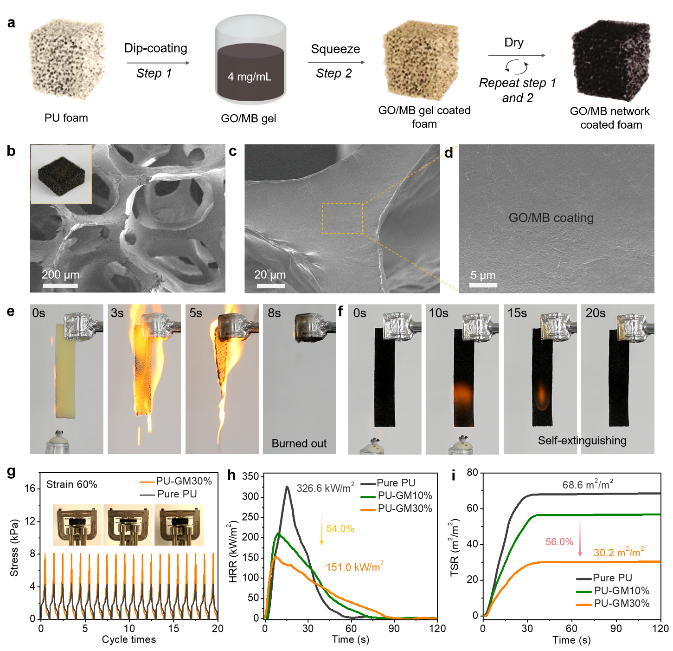 南昆大王浩教授/中科大余彬教授/杭师大汤龙程教授《ACS Nano》：氧化石墨烯基超分子纳米防火/预警材料