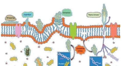 石墨烯防护用品是如何抗菌灭菌的？