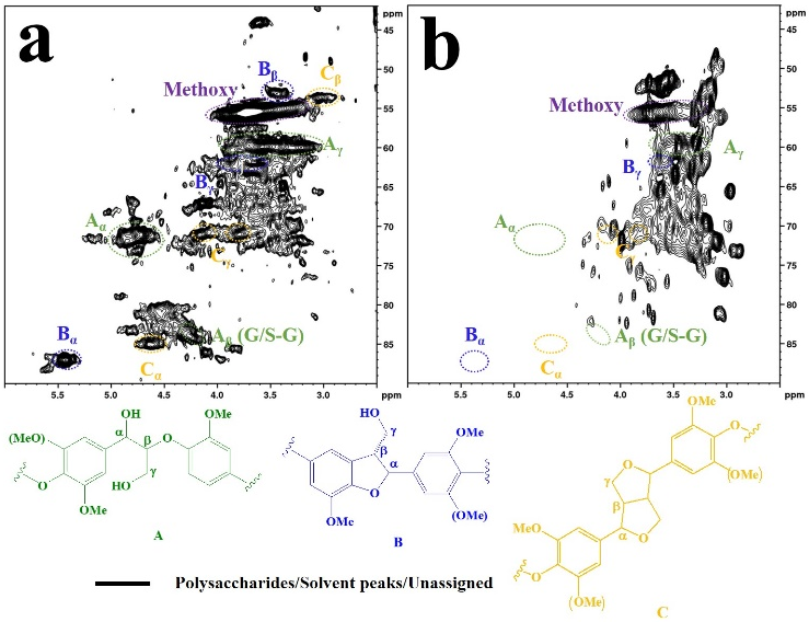 Chem. Eur. J. ：镶嵌于三维氮掺杂石墨烯中的钴纳米粒子复合材料催化木质素β-O-4键氧化断裂