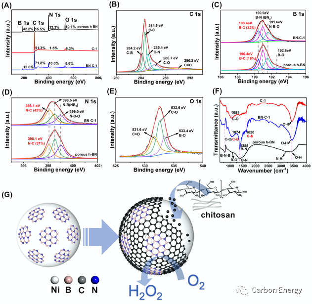 南京林业大学蒋剑春院士＆上海大学王亮 Carbon Energy：生物质碳前驱构建多孔石墨烯/h-BN异质结助力高效制备双氧水