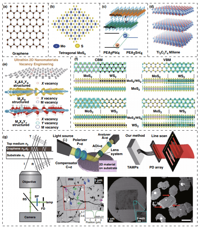中科院能源所杨亚综述：用于能量收集的2D纳米材料
