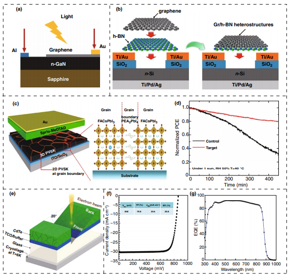 中科院能源所杨亚综述：用于能量收集的2D纳米材料