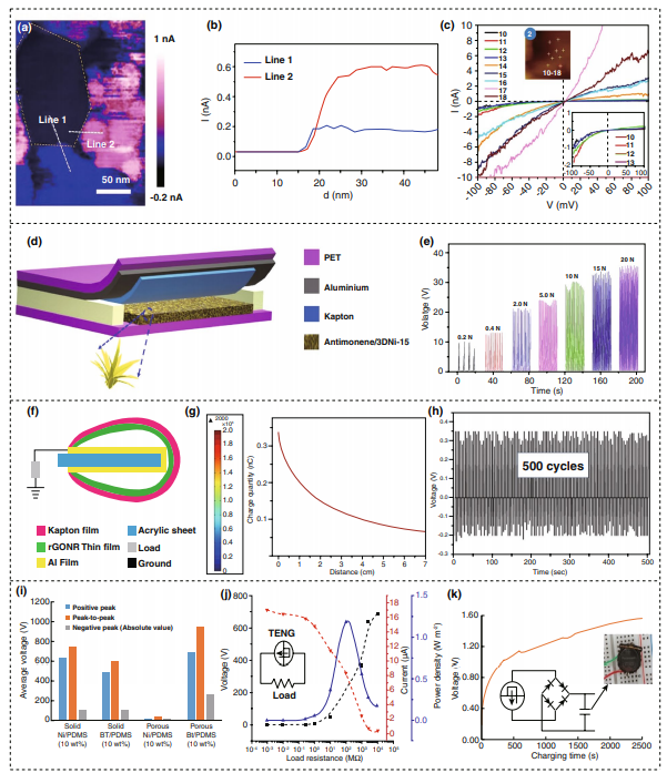 中科院能源所杨亚综述：用于能量收集的2D纳米材料