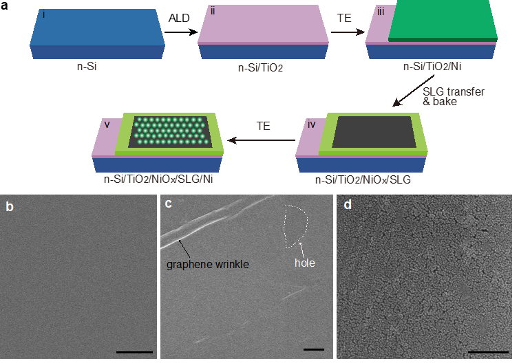 国家纳米科学中心宫建茹研究员课题组 AFM：金属氧化物/石墨烯/金属三明治结构用于光电化学分解水产氧