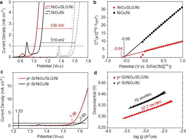 国家纳米科学中心宫建茹研究员课题组 AFM：金属氧化物/石墨烯/金属三明治结构用于光电化学分解水产氧