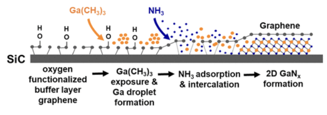 ACS Nano：外延石墨烯中二维GaNx形成机理