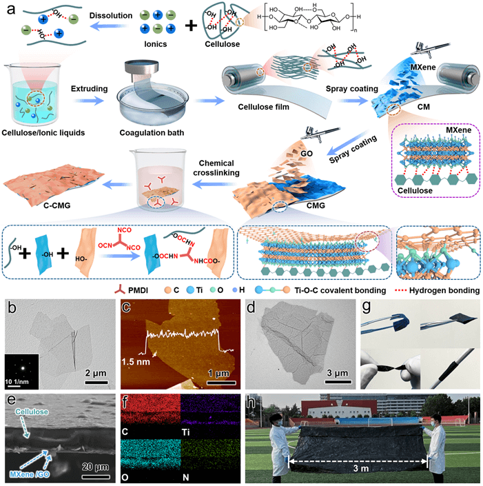 山东大学刘久荣教授/曾志辉教授AFM：氧化石墨烯辅助多重交联MXene制备的大面积、高强度、抗氧化多功能复合薄膜