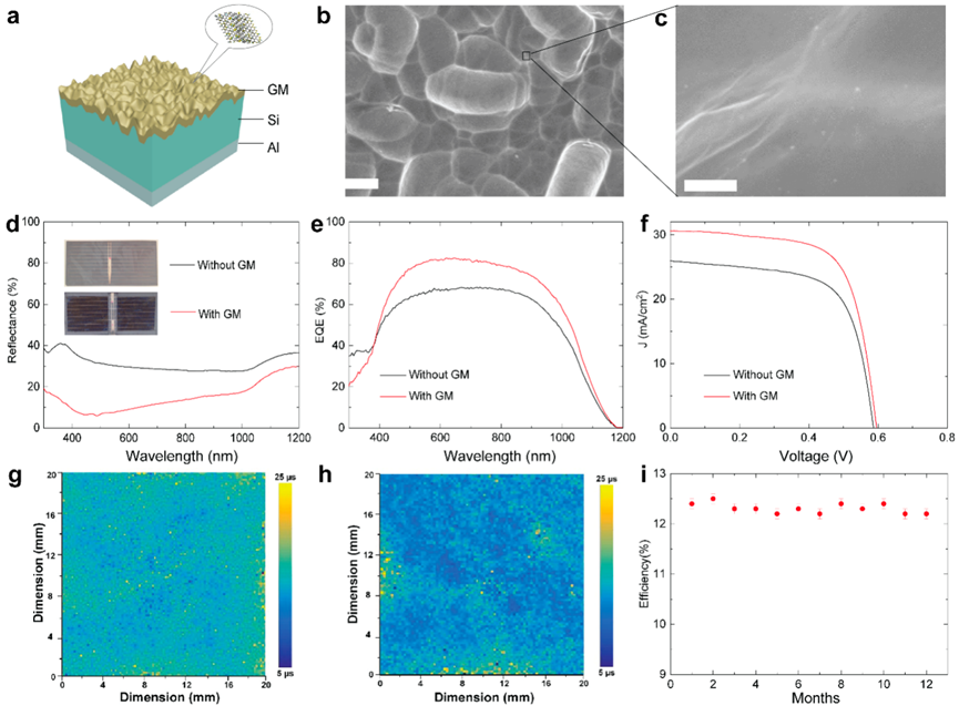 皇家墨尔本理工大学贾宝华教授团队《ACS Nano》: 石墨烯超材料三维共形包覆 - 探索新一代复合纳米太阳能电池