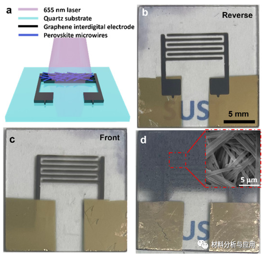 陕西科大《Carbon》：石英衬底工艺上制备石墨烯叉指电极膜，用于高性能钙钛矿基光电探测器