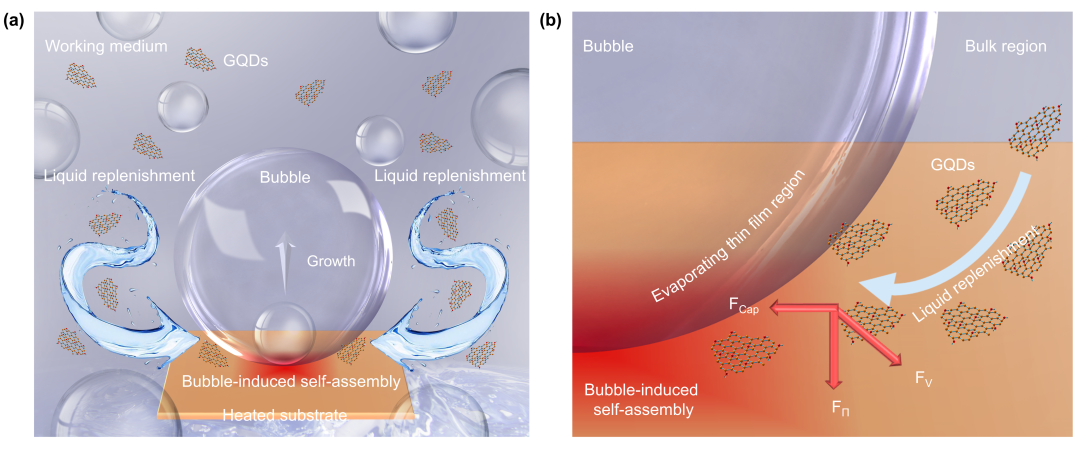 Nano Lett. | 气泡诱导自组装制备纳米裂纹状石墨烯量子点薄膜