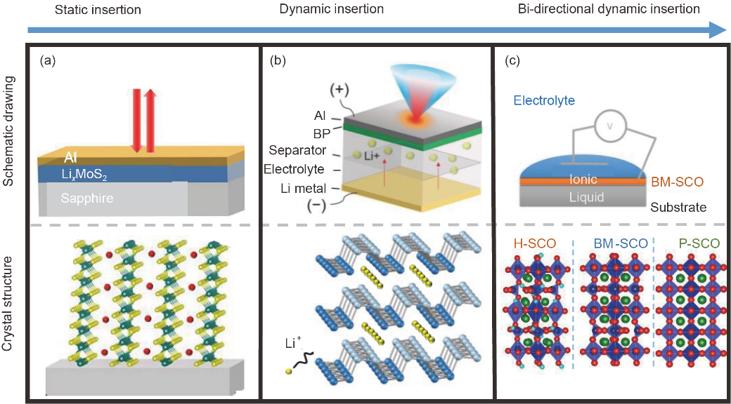 热导率可调控的热智能材料：机理、材料与应用