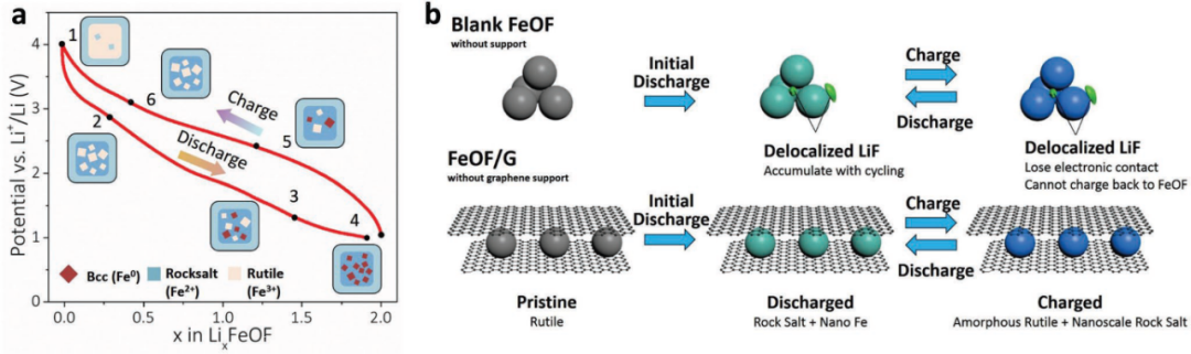 【电池】Small：可逆石墨烯复合铁氧氟FeOF材料用作可持续锂离子电池正极