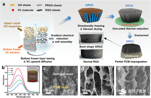 杨冬芝/于中振AFM：自然启发梯度还原氧化石墨烯气凝胶