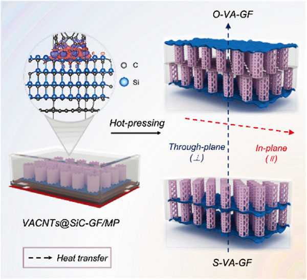 天津大学封伟AS：界面工程设计石墨烯-碳纳米管基高导热复合材料