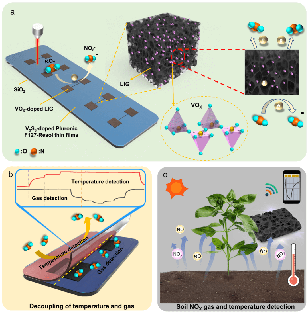 河工大杨丽、PSU程寰宇团队 Adv. Mater.：基于氧化钒/激光诱导石墨烯的气体-温度双参数可解耦柔性传感器及智慧农业应用