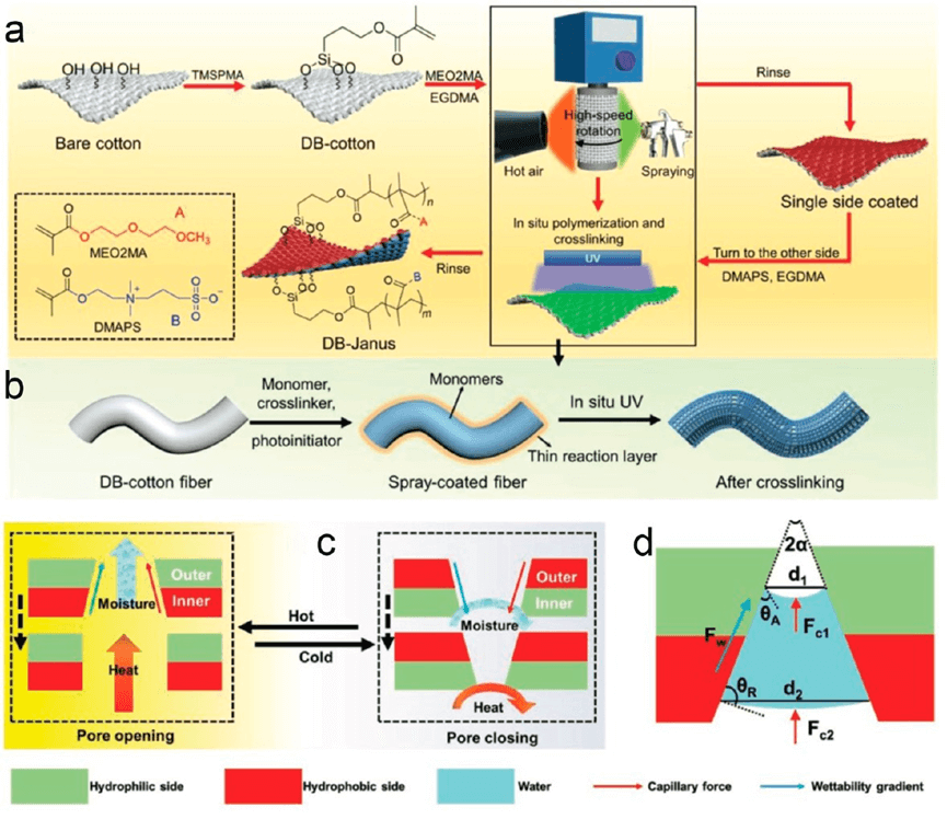 香港城市大学胡金莲教授《ACS Nano》:热管理服装的最新进展——材料、机制和前景
