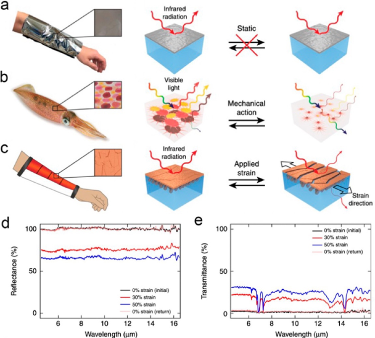 香港城市大学胡金莲教授《ACS Nano》:热管理服装的最新进展——材料、机制和前景