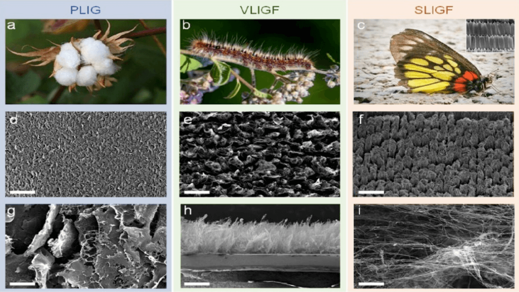 探测极限最低为0.0023m/s，港城大团队联合造出仿生石墨烯纤维传感器