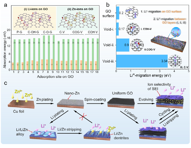 利用氧化石墨烯离子选择性构筑稳键的锂金属电池亲锂位点