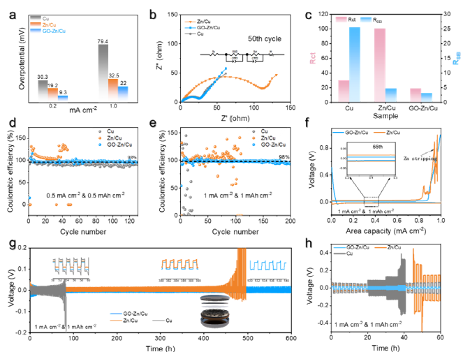 利用氧化石墨烯离子选择性构筑稳键的锂金属电池亲锂位点