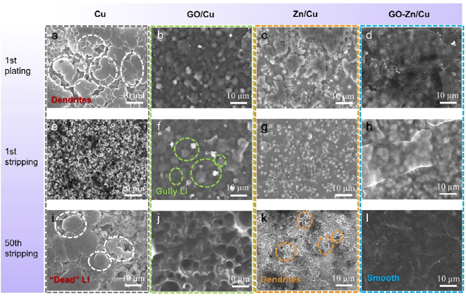 利用氧化石墨烯离子选择性构筑稳键的锂金属电池亲锂位点