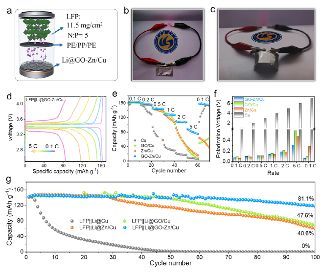 利用氧化石墨烯离子选择性构筑稳键的锂金属电池亲锂位点