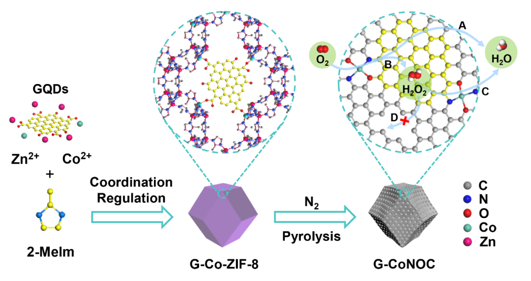 范壮军教授、黄毅超教授、任浩副教授，Small观点：基于石墨烯量子点配位的缺陷修复策略提升Co-N-C电催化剂的氧还原反应性能