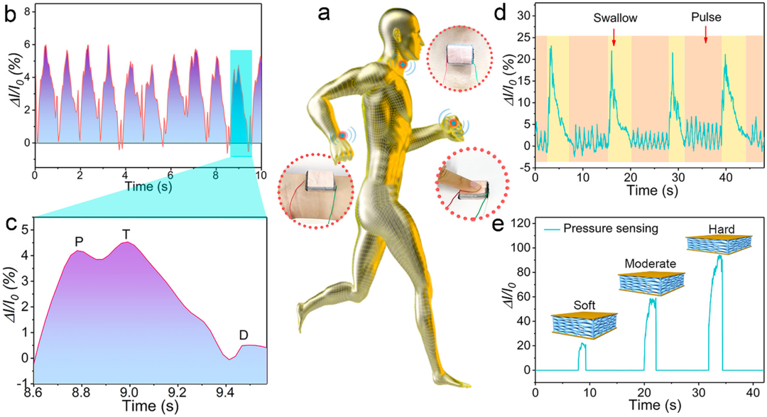 ACS Sensors | 济南大学逄金波-刘宏教授团队 | 石墨烯在人体五感、神经系统和人工肌肉中的应用