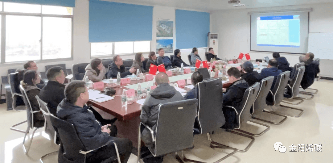 知名专家共聚一堂 共商金阳石墨烯研究院未来