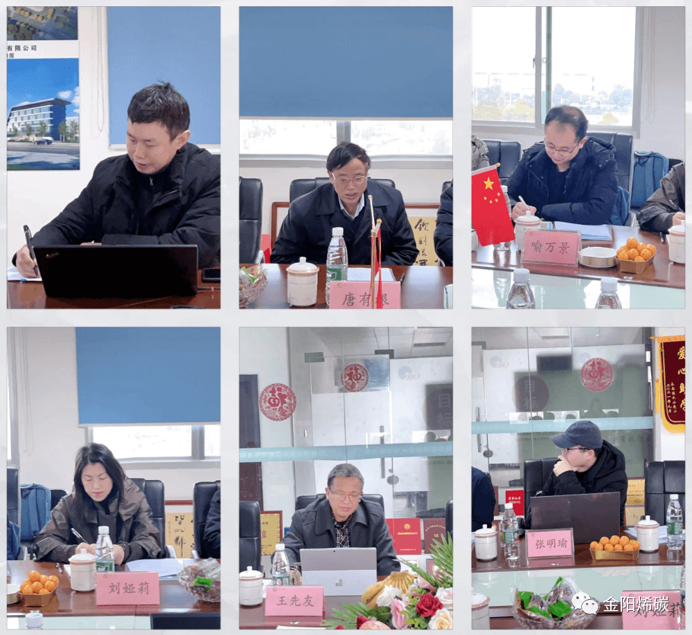 知名专家共聚一堂 共商金阳石墨烯研究院未来