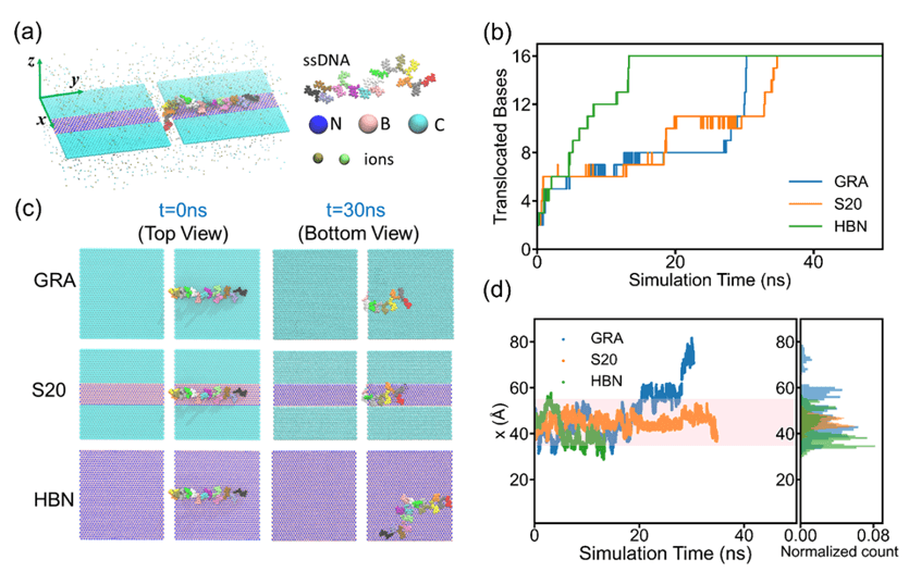 ACS Nano | 基于石墨烯/六方氮化硼平面异质结的两种纳米缝检测模式