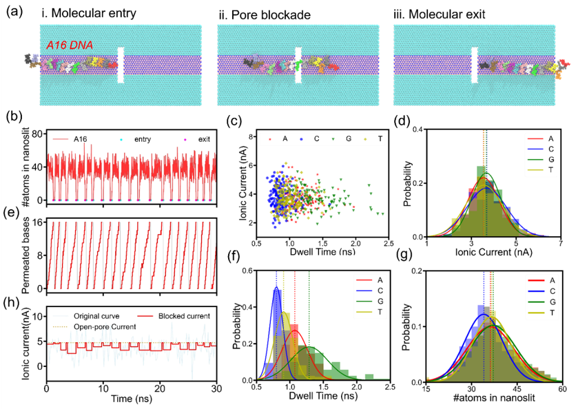 ACS Nano | 基于石墨烯/六方氮化硼平面异质结的两种纳米缝检测模式