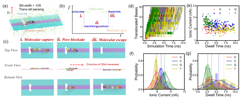 ACS Nano | 基于石墨烯/六方氮化硼平面异质结的两种纳米缝检测模式