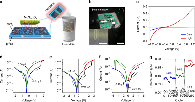 Light Sci. Appl.：具有可调非易失性响应的石墨烯/MoS2-xOx/石墨烯光电忆阻器，用于神经形态视觉处理