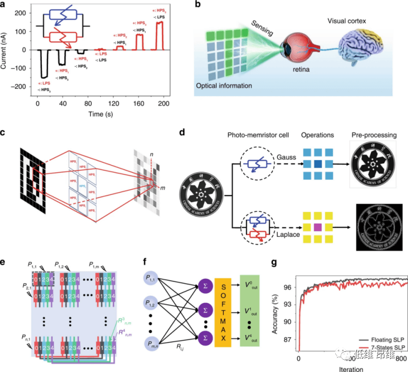 Light Sci. Appl.：具有可调非易失性响应的石墨烯/MoS2-xOx/石墨烯光电忆阻器，用于神经形态视觉处理