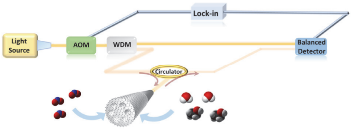 北京大学刘开辉教授团队等：发展一种石墨烯光纤流体传感器