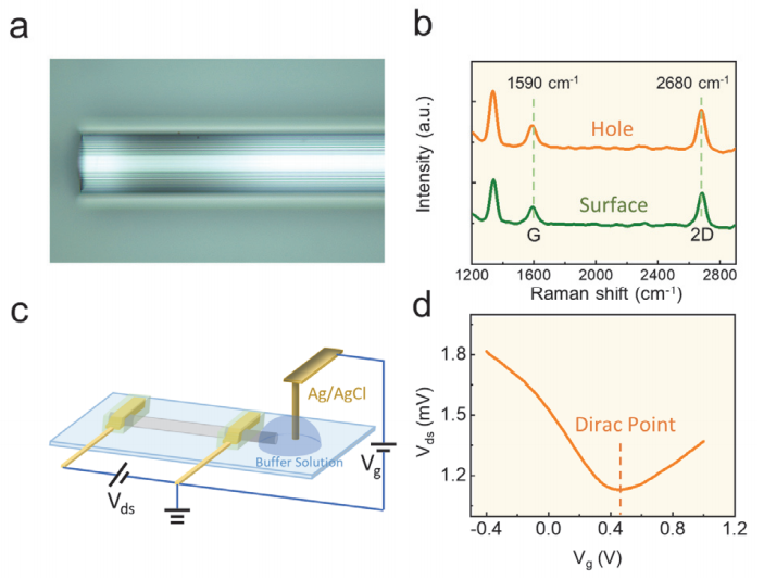 北京大学刘开辉教授团队等：发展一种石墨烯光纤流体传感器