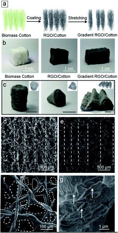 ​东南大学代云茜：全天的太阳能蒸发平台，可从微塑料污染中收集清洁水