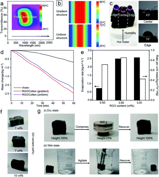 ​东南大学代云茜：全天的太阳能蒸发平台，可从微塑料污染中收集清洁水