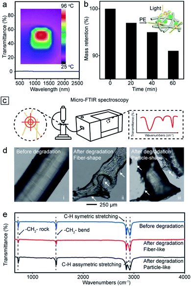 ​东南大学代云茜：全天的太阳能蒸发平台，可从微塑料污染中收集清洁水