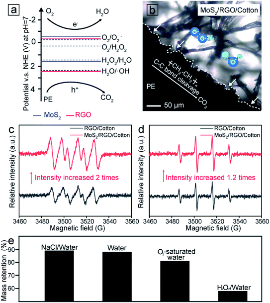 ​东南大学代云茜：全天的太阳能蒸发平台，可从微塑料污染中收集清洁水