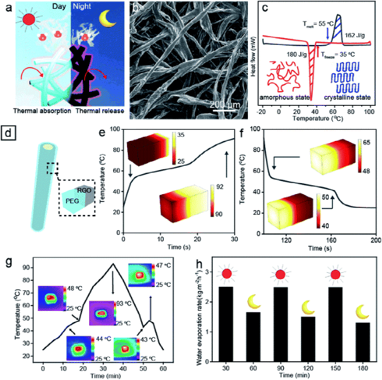 ​东南大学代云茜：全天的太阳能蒸发平台，可从微塑料污染中收集清洁水