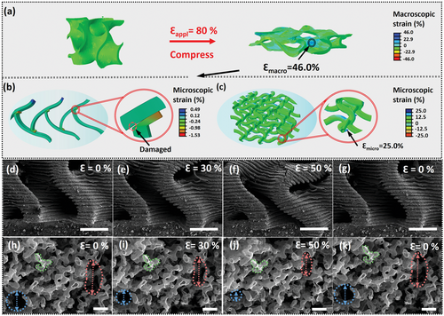 西北工业大学黄维院士团队AFM：可自由成型石墨烯泡沫的数字化赋予其损伤容限