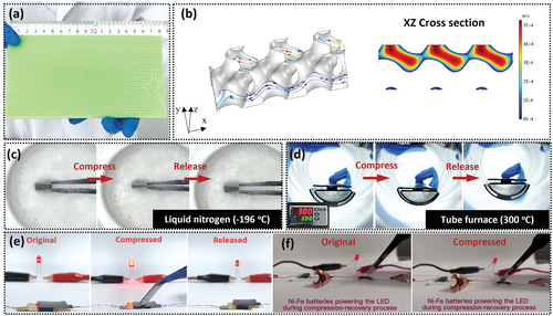 西北工业大学黄维院士团队AFM：可自由成型石墨烯泡沫的数字化赋予其损伤容限