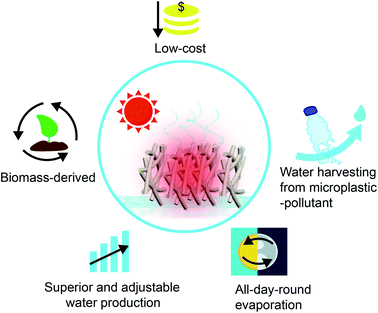​东南大学代云茜：全天的太阳能蒸发平台，可从微塑料污染中收集清洁水