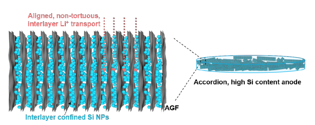EEM | 复旦卢红斌教授、西工大董雷教授:基于手风琴石墨烯框架的高性能硅负极