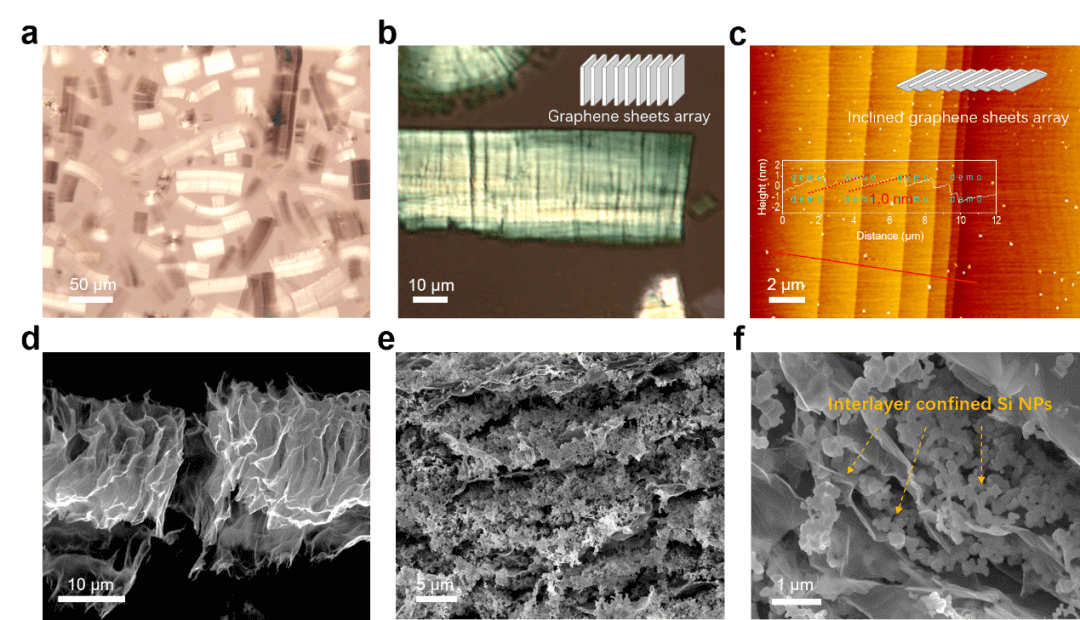 EEM | 复旦卢红斌教授、西工大董雷教授:基于手风琴石墨烯框架的高性能硅负极