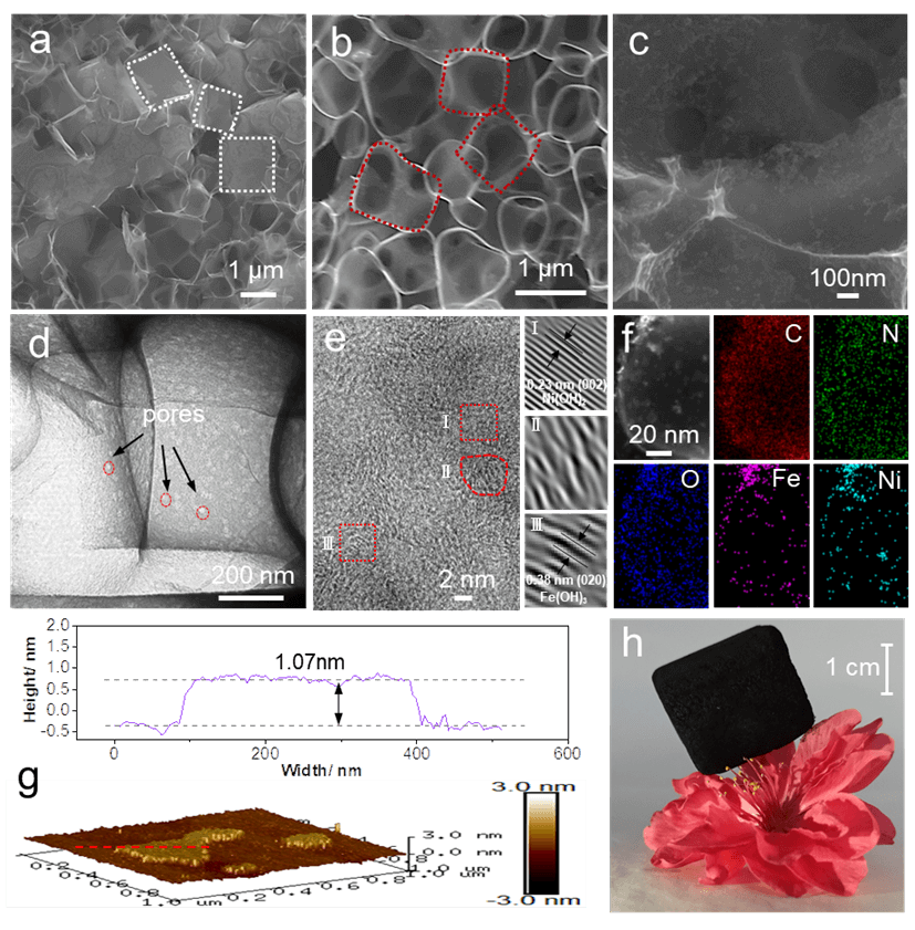 中南大学张翼、UCSC陈少伟、湘大何庭 CEJ：模板法构筑超薄石墨烯气凝胶高效双功能氧催化剂